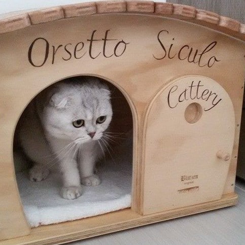 Cuccia per gatto in legno