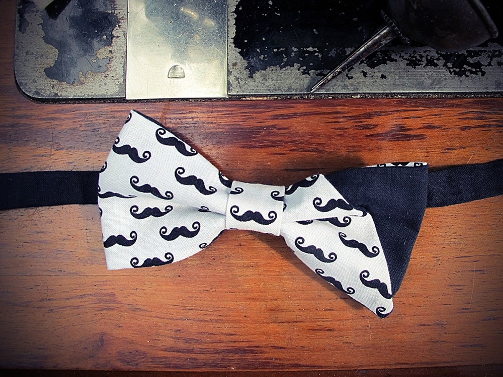 Papillon con moustache