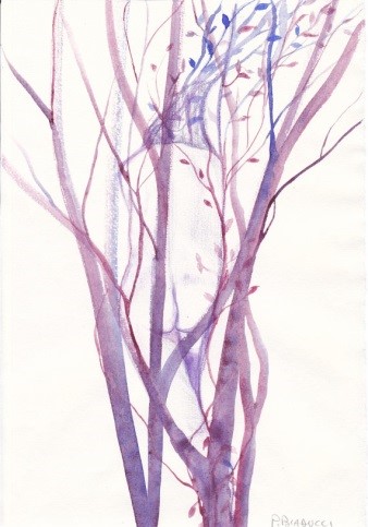 Figura5