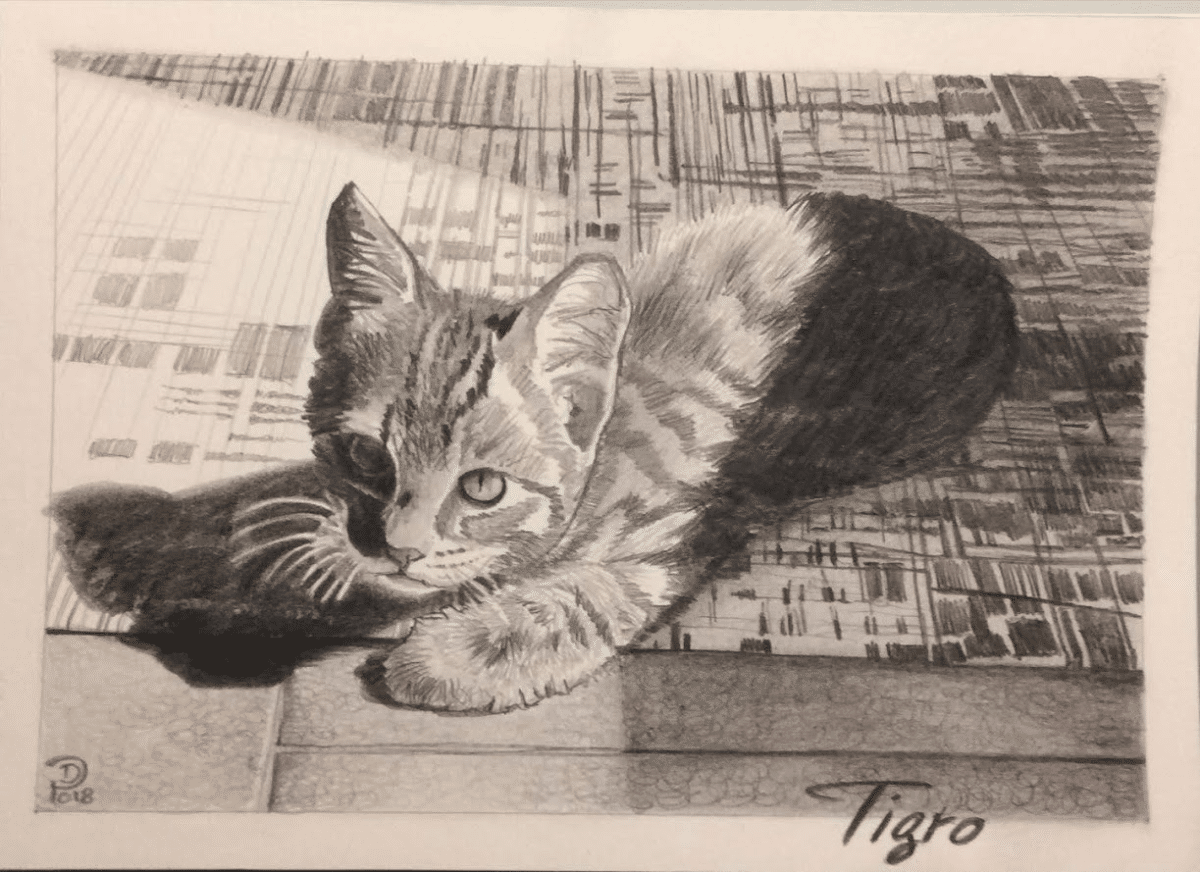 Dipinto Allacquerello Riproduzione Di Foto Di Animale Cane O Gatto Regalo Per Chi Ha Un Cane Olalla