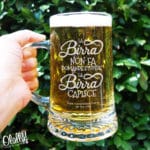 boccale-birra-la-birra-non-fa-domande-la-birra-capisce
