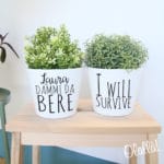 vaso-personalizzato-i-will-survive-frase-scelta