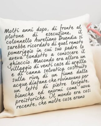 cuscino-personalizzato-frase-libro