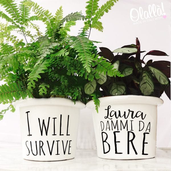 vaso-personalizzato-i-will-survive-frase-scelta vaso-personalizzato-i-will-survive-frase-scelta