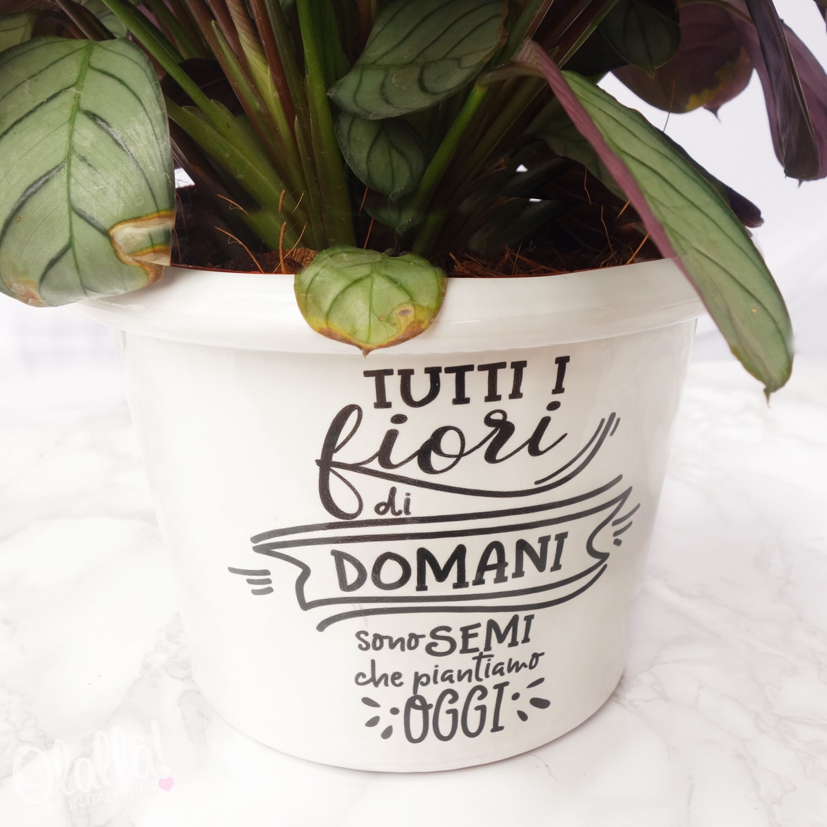 Timbro Per Ceramica Personalizzato ATIJAA - Testa In Ottone Con Manico Staccabile, Per Vasai, Sapone Fai Da Te E Biscotti - Foto 6