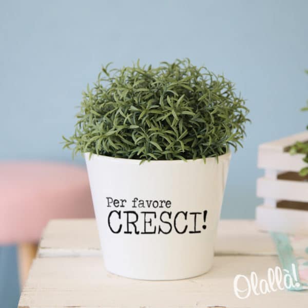 vaso-personalizzato-regalo-compleanno-cresci vaso-personalizzato-regalo-compleanno-cresci