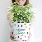 vaso-personalizzato-pallini-mamma-regalo