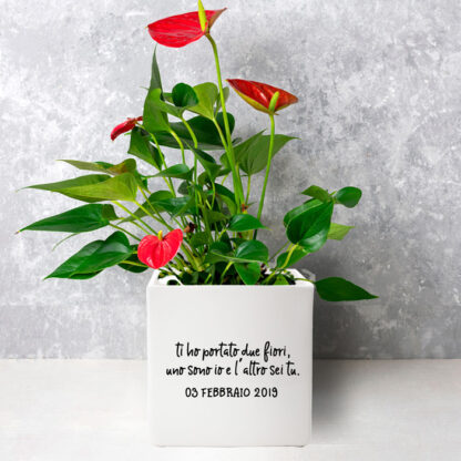 vaso-regalo-idee-compleanno-amica-casa-giardino