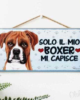 taghetta-cane-razza-boxer