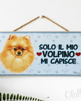 taghetta-cane-razza-volpino
