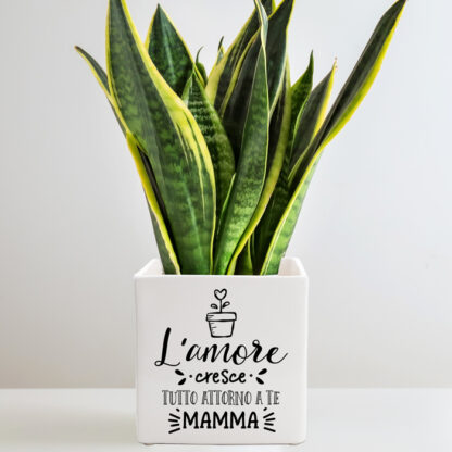 vaso-personalizzato-amore-cresce-attorno-a-te-mamma