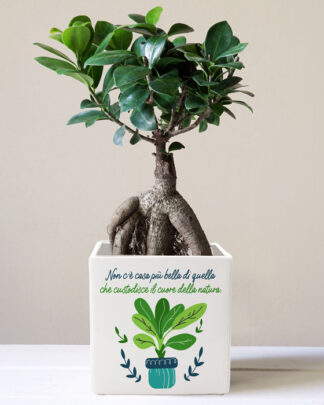 vaso-regalo-casa-personalizzato-natura