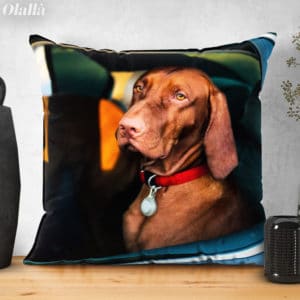 CUSCINO-FOTO-CANE-PERSONALIZZATAr3jpg