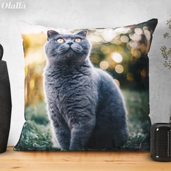 Cuscino Personalizzato con Foto del Tuo Gatto - immagine 2