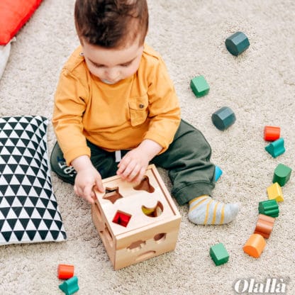 Cubo in Legno con Elementi da Incastrare - Idea Regalo Didattico Bimbi Piccoli