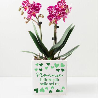 vaso-regalo-nonna-personalizzato-festanonna