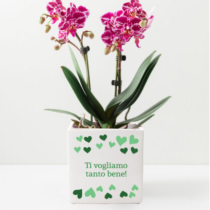 vaso-regalo-nonna-personalizzato-festanonna