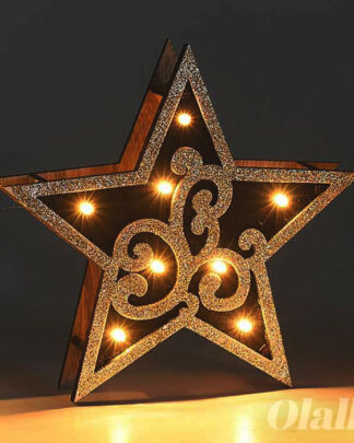 decorazione-luminosa-stella-natale