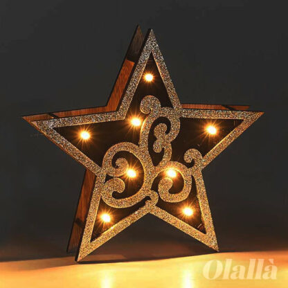 decorazione-luminosa-stella-natale