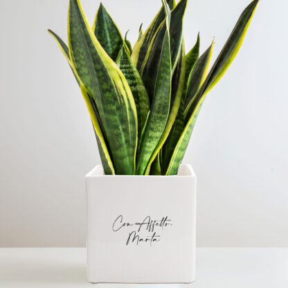 vaso-giardino-regalo-personalizzato-vita
