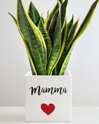 vaso-mamma-cuore-personalizzato-frase-dedica