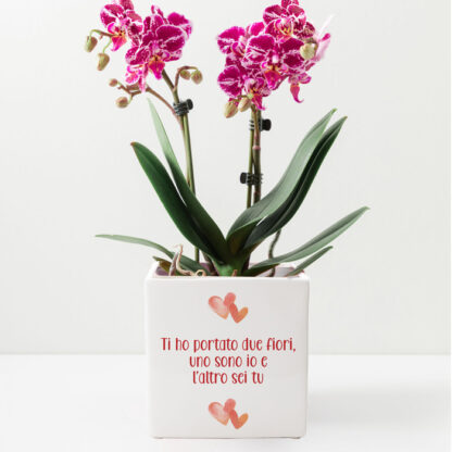 vaso-mamma-festa-fiori-regalo-personalizabil-