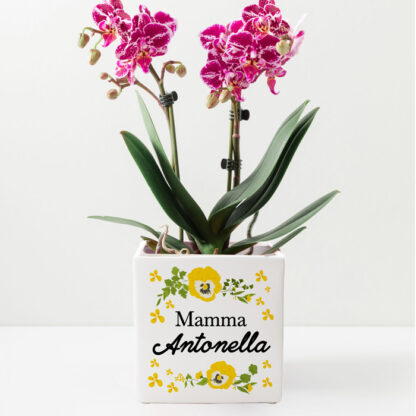 vaso-regalo-mamma-personalizzato-casa