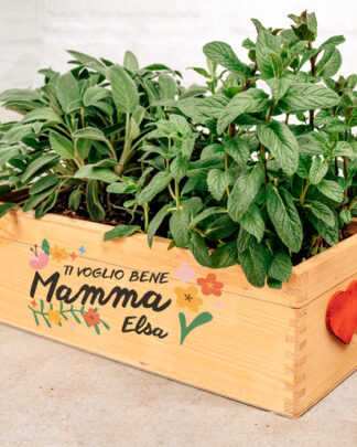 cassettina-piante-personalizzata-regalo-festa-mamma