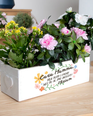 cassettina-piante-personalizzata-regalo-festa-mamma02