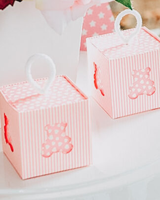 scatoline-rosa-azzurro-righine-orsetti-portaconfetti-battesimo (5)