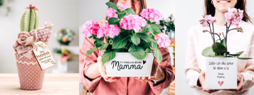 vasi-per-mamma-banner