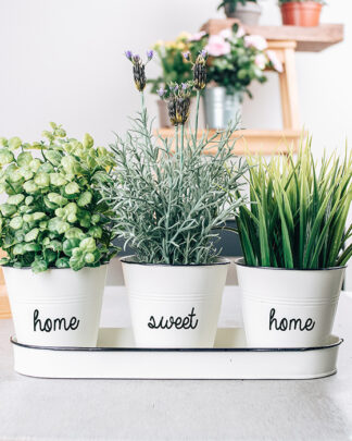 vaso-personalizzato-nome-pianta-regalo-coppia-casa-nuova