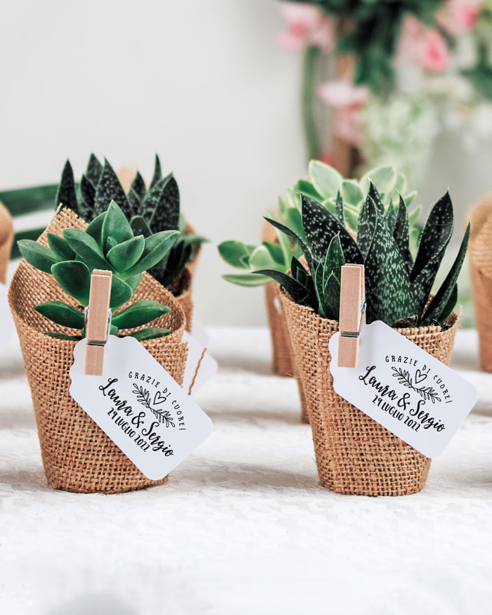 Bomboniera con Piante Grasse Succulente e Mini Cactus in Vasetto con Juta  ed Etichetta Personalizzabile Con Molletta