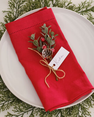ramoscello-segnaposto-pigna-natale (3)