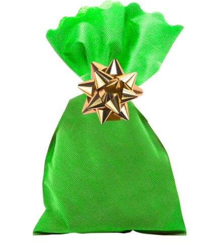25 Sacchetti 15x25 Regalo in Tessuto non Tessuto TNT Colore Verde