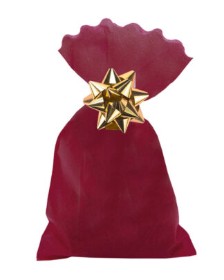sacchetto-tnt-confezione-regalo