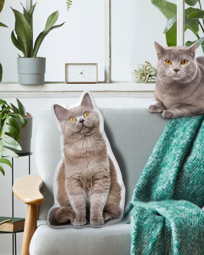 Cuscino a Forma di Gatto Personalizzabile con la Foto del Tuo Gatto - Idea  Regalo Divertente per Lui, Lei, Amanti dei Gatti e degli Animali,  Compleanno