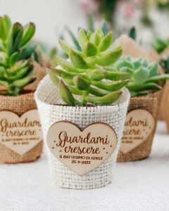 bomboniere-succulente-personalizzate-juta-tag