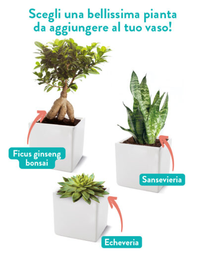 vaso-personalizzato-regalo-maestra-pianta