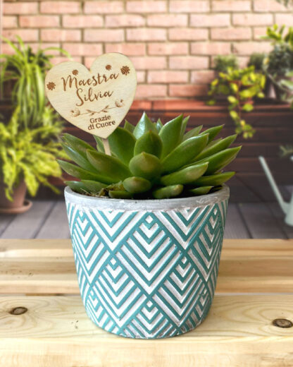 Pianta Succulenta in Vaso Decori Etnici Colorati con Segna Pianta in Legno Personalizzato Regalo Maestra