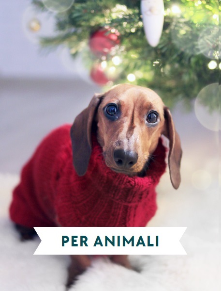 REGALI-DI-NATALE-PER-animali2