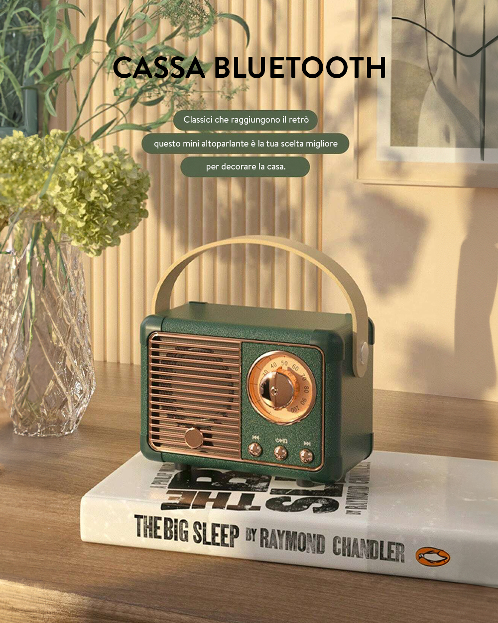 cassa-bluetooth-radio