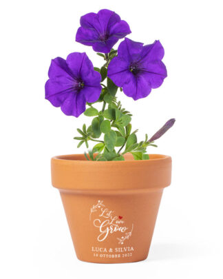 vaso-bomboniera-regalo-petunia-fiore-grow-matrimonio
