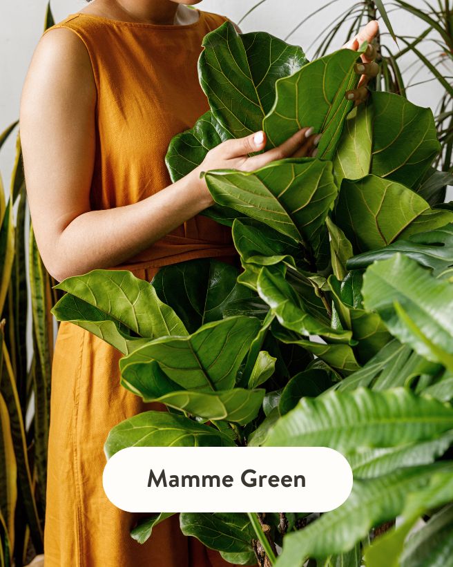 regali-mamma-green