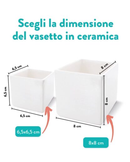 info-dimensioni-vasetti-succulente-olallà