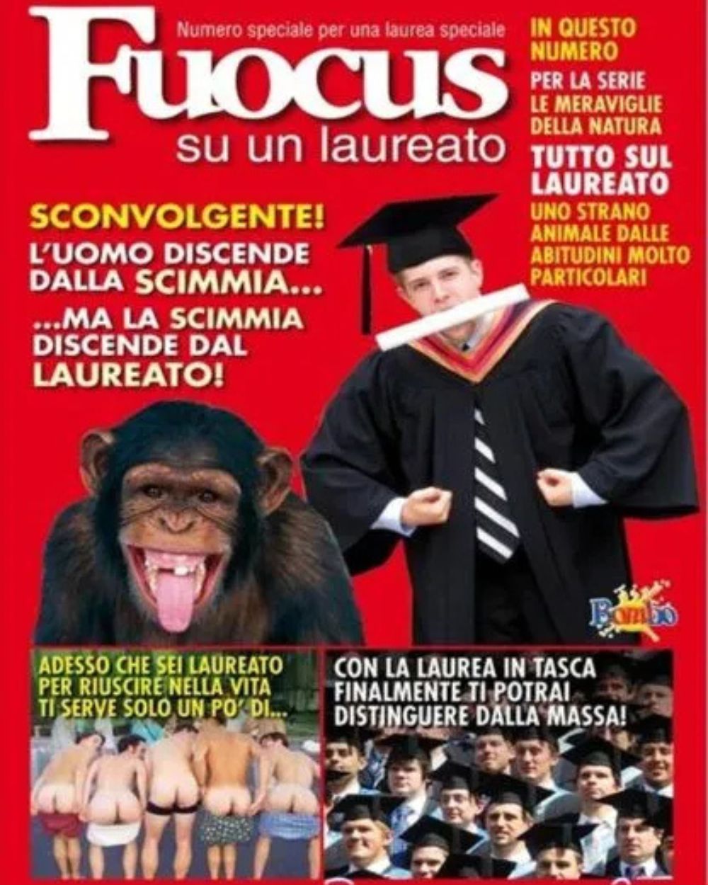 FOCUSLAUREATORIVISTA