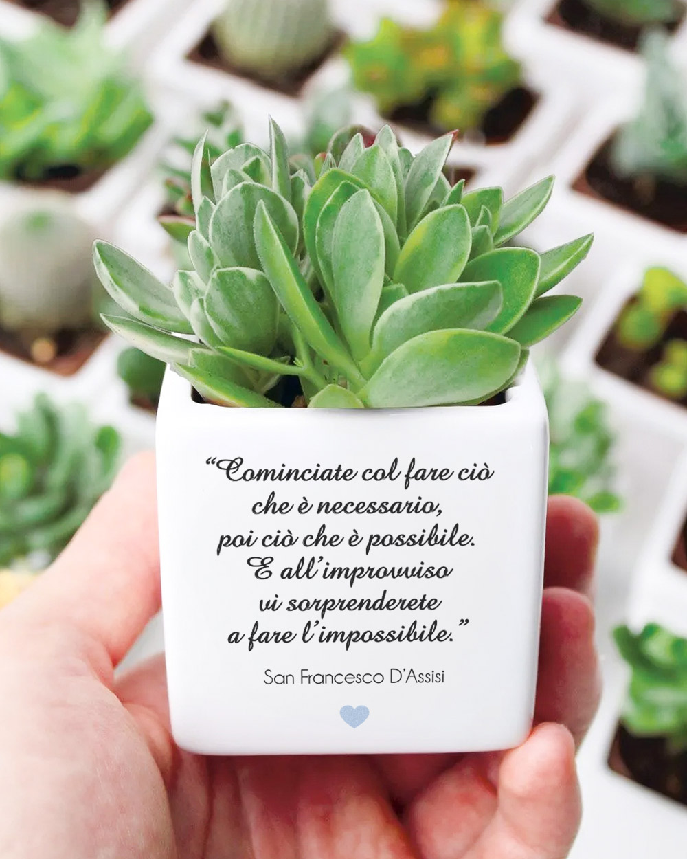 Vasetto Portapiante Grazioso A Forma Di Animale Per Piante Grasse - Decorazione Casa Originale - Idea Regalo