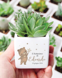 Cactus Vasetti Per Piantine Ceramica - Set Di 6 Vasetti Per Piante Grasse Con Foro A Forma Di Animale, Decorazione Giardino