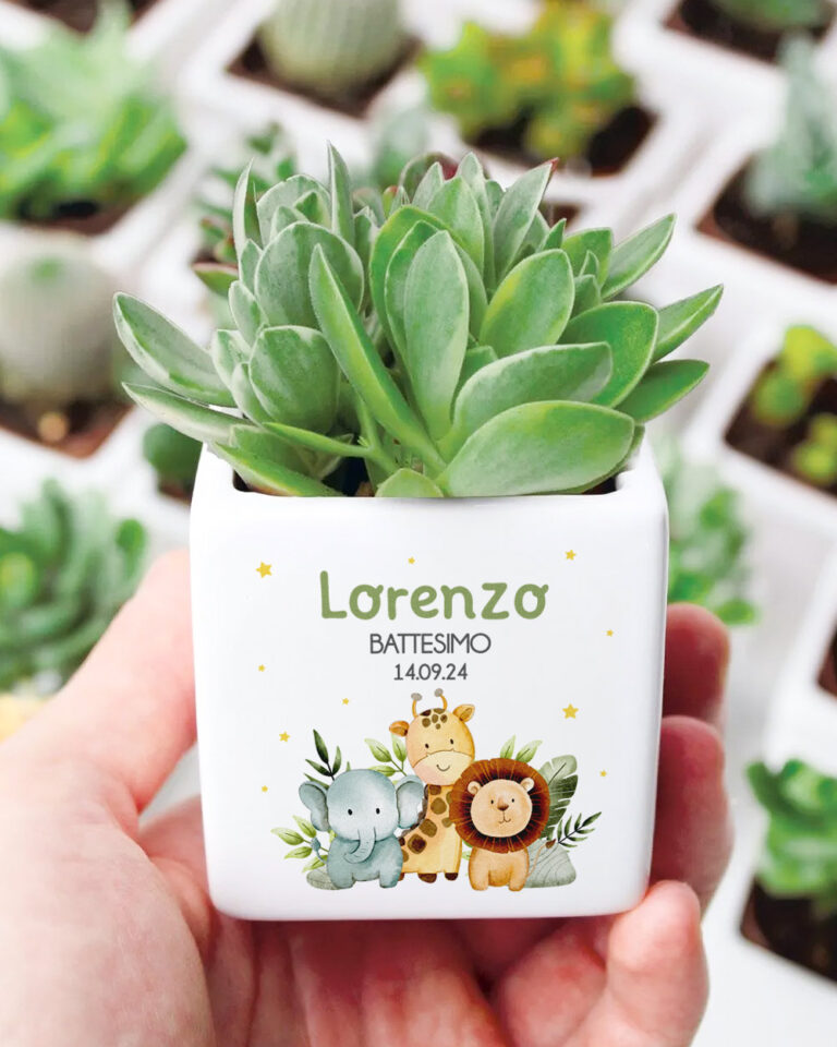 10 Mini Vasi In Terracotta Con Foro Di Drenaggio – Piccole Fioriere In Ceramica Per Piante Grasse, Cactus, Bomboniere E Decorazioni Fai-da-te