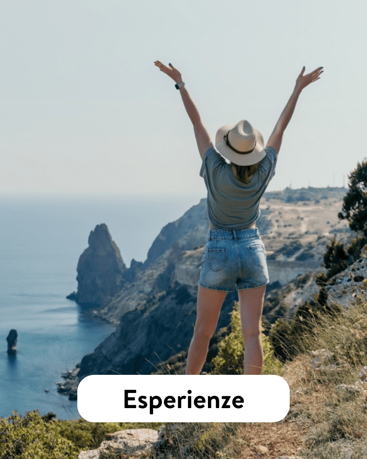 laurea-esperienze